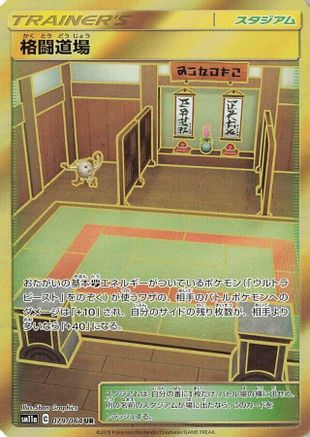 Martial Arts Dojo (079/064) - SM11a Remix Bout Holofoil