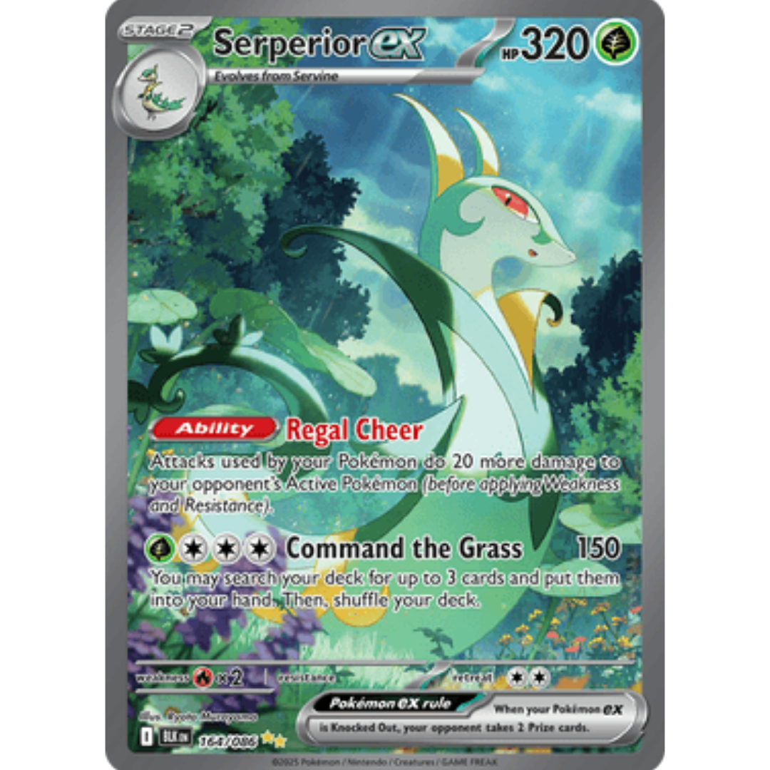 Serperior ex 164/086 - Holofoil SV Black Bolt - Special Illustration Rare