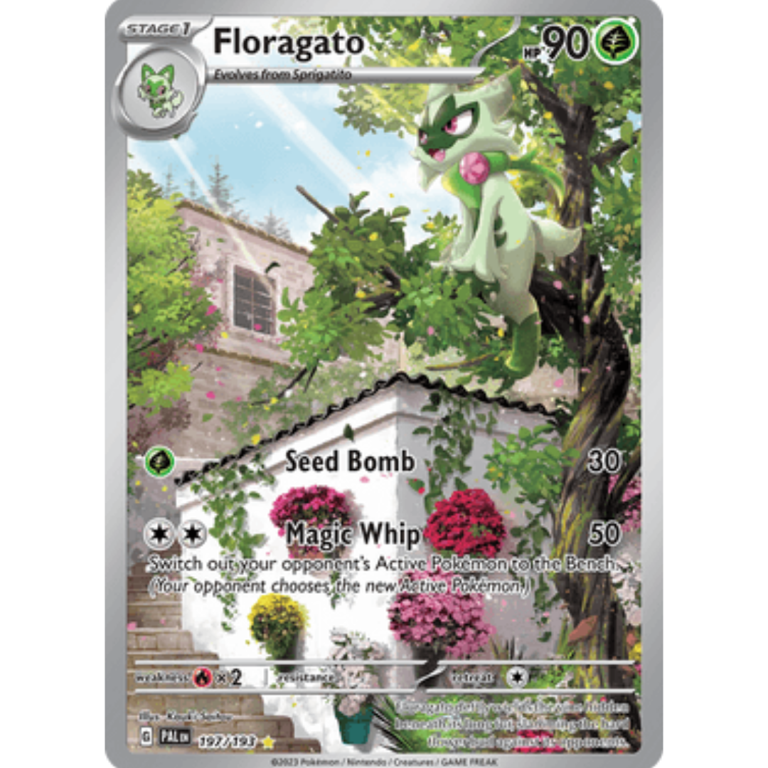 Floragato 197/193 - Holofoil SV02 Paldea Evolved - Illustration Rare