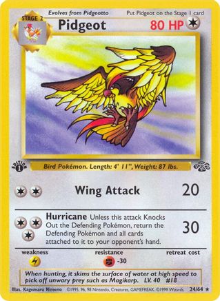 Pidgeot (24) 024  - Unlimited Jungle - Rare