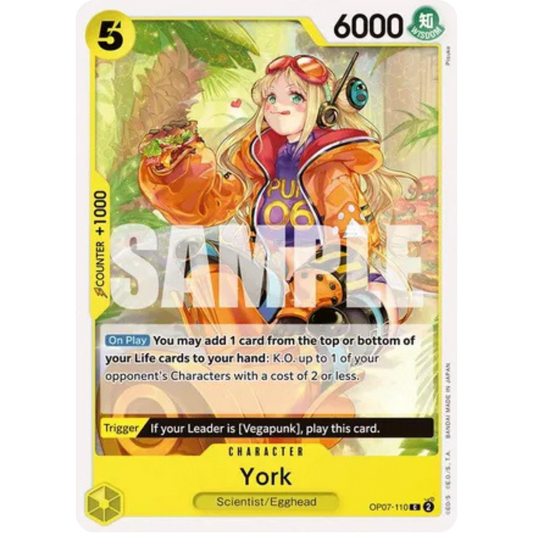 York (OP07-110) - 500 Years in the Future