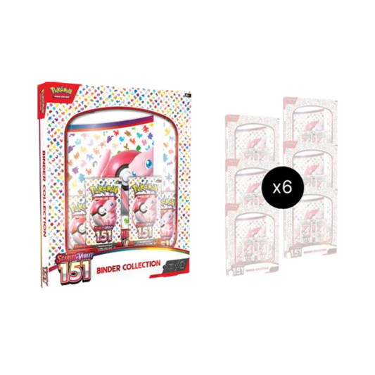 151 Binder Collection Case