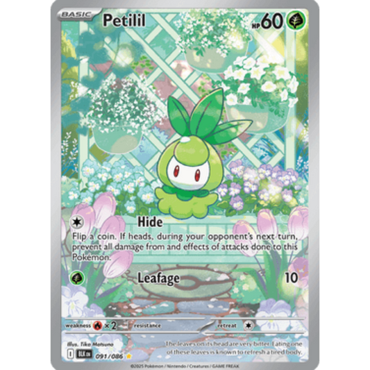 Petilil 091/086  - Holofoil SV Black Bolt - Illustration Rare