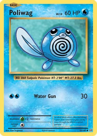 Poliwag 023  XY  Evolutions - Common