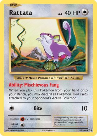Rattata 066  - Reverse Holofoil XY  Evolutions - Common