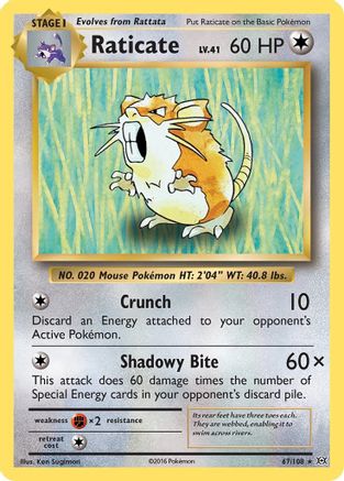 Raticate 067  - Reverse Holofoil XY  Evolutions - Rare