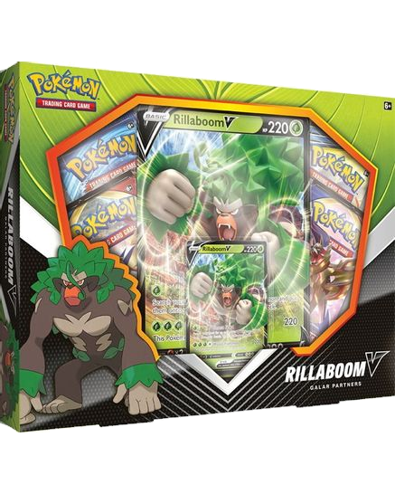 Galar Partners Box [Rillaboom V]