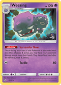 Weezing 029  Hidden Fates - Rare