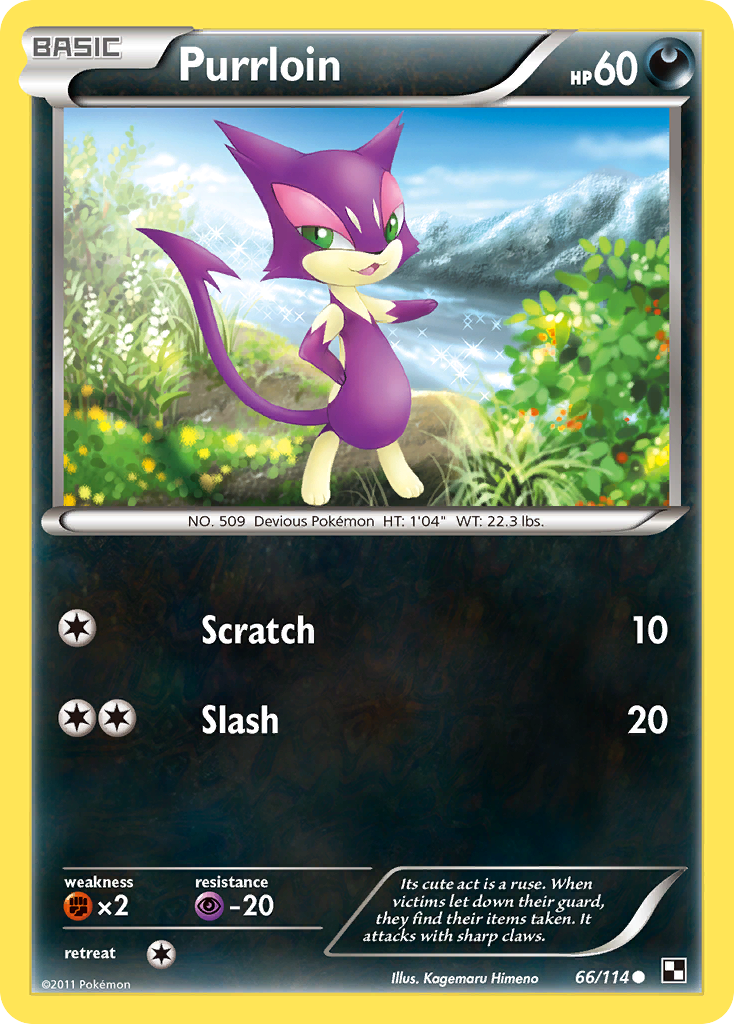 Purrloin  Black and White - Common