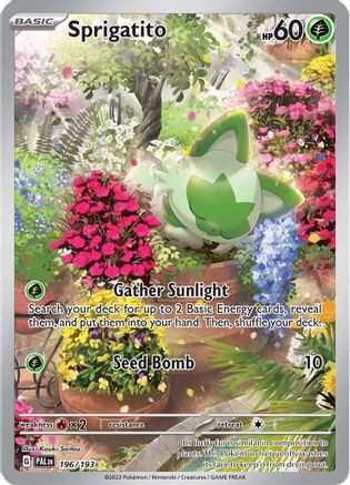 Sprigatito 196/193  - Holofoil SV02 Paldea Evolved - Illustration Rare
