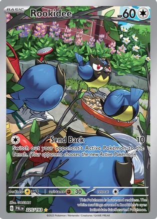Rookidee 225/193  - Holofoil SV02 Paldea Evolved - Illustration Rare