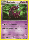 Scolipede 054/114  - Holofoil Blister Exclusives - Holo Rare