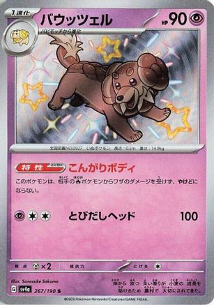 Dachsbun - 267/190 (267/190) - SV4a Shiny Treasure ex Holofoil
