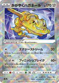Radiant Steelix (050/071) - S10a Dark Phantasma Holofoil