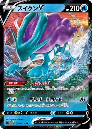 Suicune V - 024/172 (024/172) - S12a VSTAR Universe Holofoil