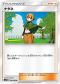 Gardenia - 060/066 (060/066) - SM5S Ultra Sun