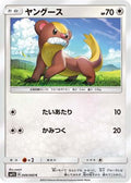 Yungoos (049/060) - SM1S Collection Sun