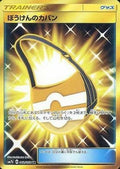 Adventure Bag - 062/050 (062/050) - SM7b Fairy Rise Holofoil