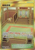 Martial Arts Dojo (079/064) - SM11a Remix Bout Holofoil