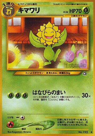 Sunflora  - Gold Silver to a New World