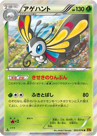 Beautifly (005/078) - XY6 Emerald Break Unlimited Holofoil