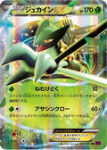 Sceptile EX - 007/081 (007/081) - XY7 Bandit Ring 1st Edition Holofoil