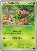Chespin (005/059) - XY8Bb Blue Shock 1st Edition