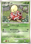 Shuckle  - DP3 Shining Darkness Unlimited