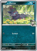 N's Zorua 136  ME Ascended Heroes - Common