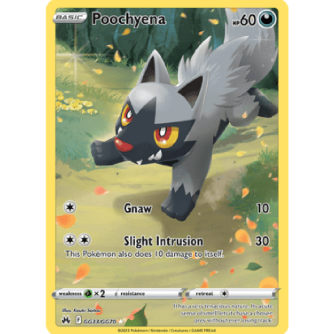Poochyena (GG33/GG70) [Sword & Shield: Crown Zenith]