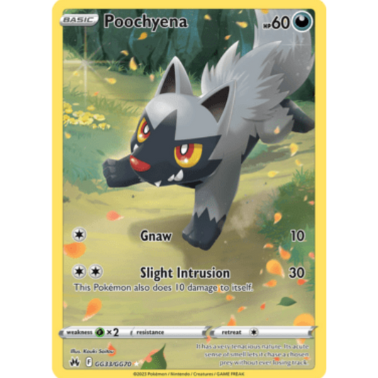Poochyena (GG33/GG70) [Sword & Shield: Crown Zenith]