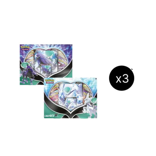 Ice Rider/ Shadow Rider Calyrex V Box Case