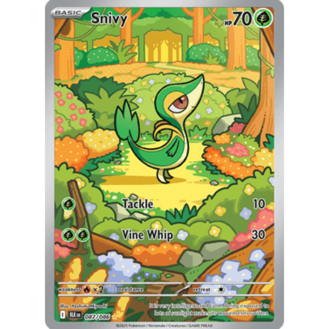 Snivy 087/086  - Holofoil SV Black Bolt - Illustration Rare
