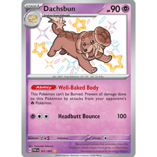 Dachsbun (161/091) [Scarlet & Violet: Paldean Fates]