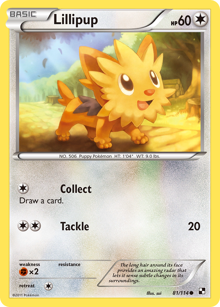 Lillipup (81)  Black and White - Common