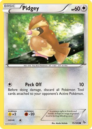 Pidgey 075  XY  Flashfire - Common
