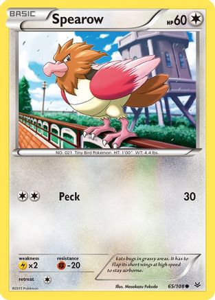 Spearow 065  - Reverse Holofoil XY  Roaring Skies - Common