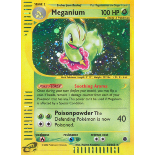 Meganium (18) 018  - Holofoil Expedition - Holo Rare