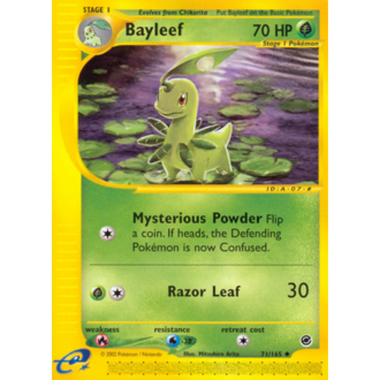 Bayleef 071/165  Expedition - Uncommon