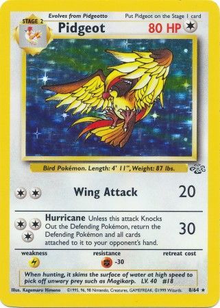Pidgeot (8) 008/64  Jungle - Holo Rare