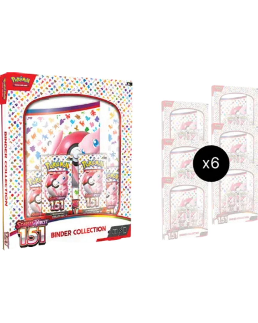 151 Binder Collection Case